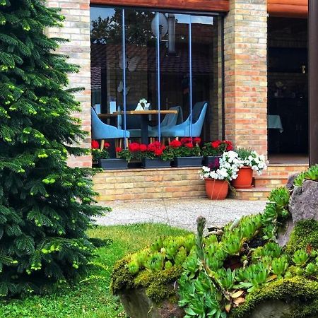 Villa Diva Budureasa ภายนอก รูปภาพ