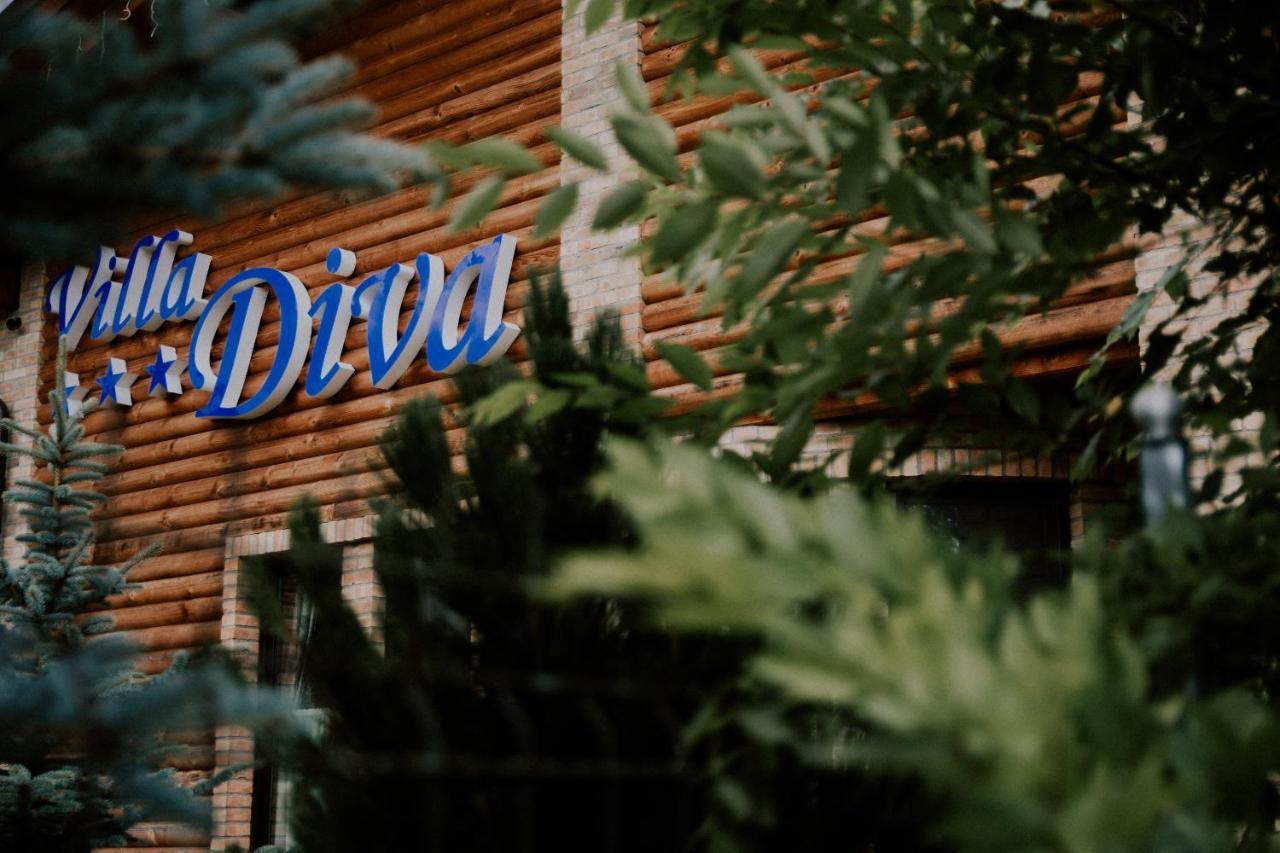 Villa Diva Budureasa ภายนอก รูปภาพ