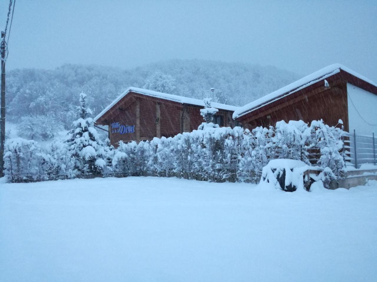 Villa Diva Budureasa ภายนอก รูปภาพ